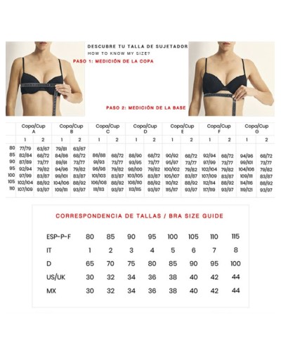 Sujetador Push-Up sin aros Promise Cristina W1801